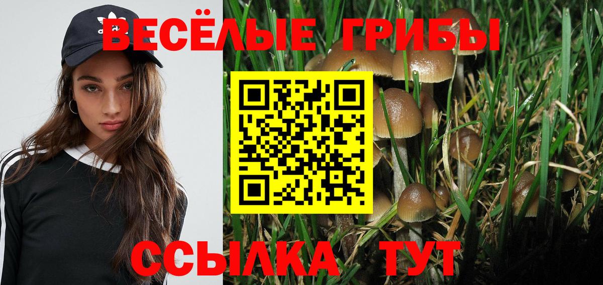 Клин  Псилоцибиновые грибы Magic Shrooms  Вход с VPN 